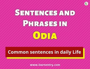 Odia Sentences and Phrases