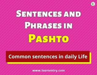 Pashto Sentences and Phrases