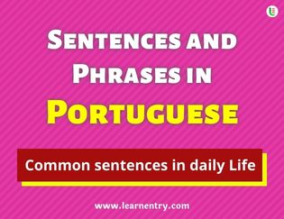 Portuguese Sentences and Phrases