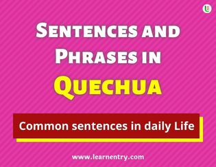 Quechua Sentences and Phrases