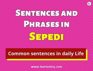 Sepedi Sentences and Phrases