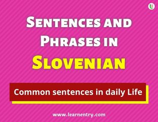 Slovenian Sentences and Phrases