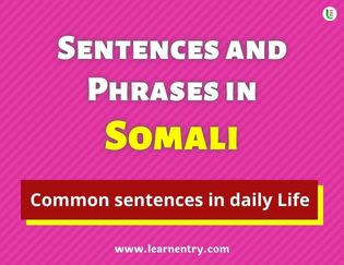 Somali Sentences and Phrases