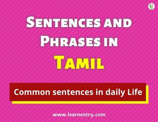 Tamil Sentences and Phrases
