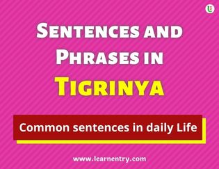 Tigrinya Sentences and Phrases