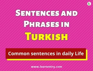 Turkish Sentences and Phrases