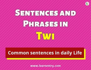 Twi Sentences and Phrases