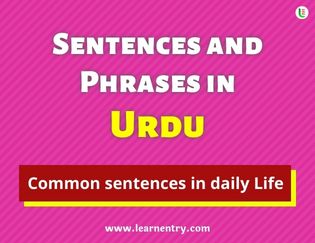 Urdu Sentences and Phrases