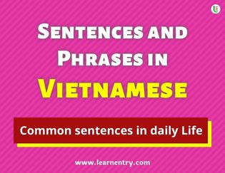 Vietnamese Sentences and Phrases