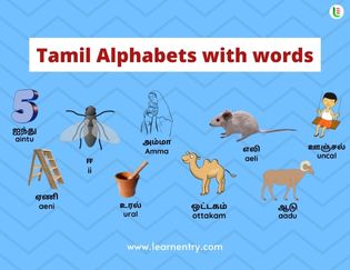 Tamil Alphabets with words