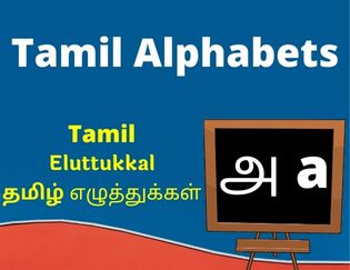 Tamil Alphabets