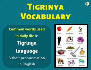 Tigrinya Vocabulary