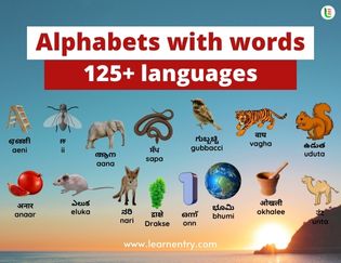 Multi-language alphabets with Words