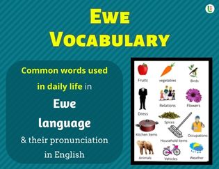 Ewe Vocabulary