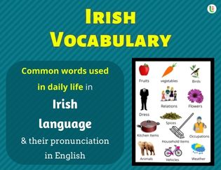 Irish Vocabulary