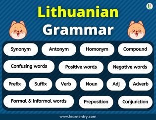 Lithuanian Grammar