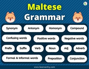 Maltese Grammar