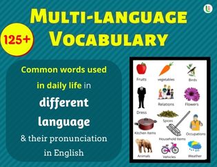 Multi-language Vocabulary