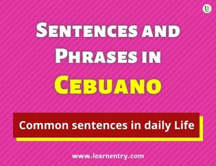 Cebuano Sentences and Phrases