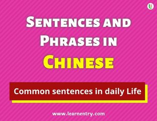 Chinese Sentences and Phrases