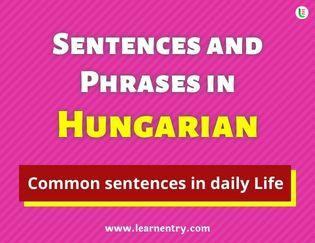 Hungarian Sentences and Phrases