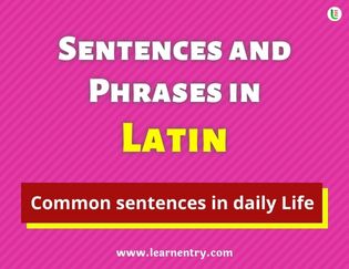 Latin Sentences and Phrases
