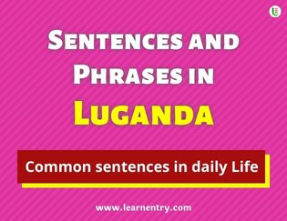 Luganda Sentences and Phrases
