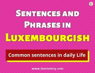 Luxembourgish Sentences and Phrases