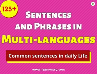 Multi-language Sentences and Phrases