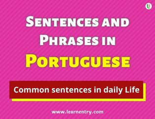 Portuguese Sentences and Phrases