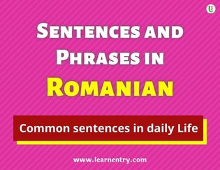 Romanian Sentences and Phrases