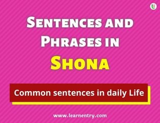 Shona Sentences and Phrases