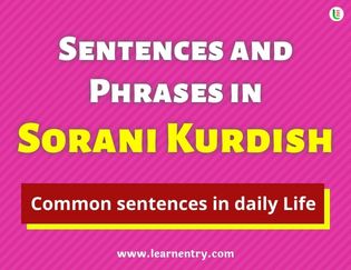 Sorani kurdish Sentences and Phrases