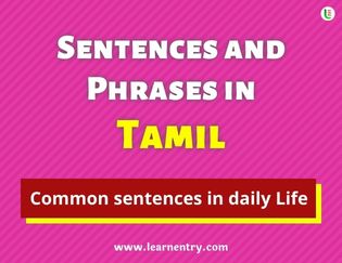Tamil Sentences and Phrases