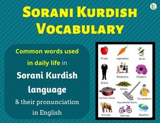 Sorani kurdish Vocabulary