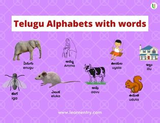 Telugu Alphabets with words