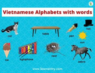 Vietnamese Alphabets with words