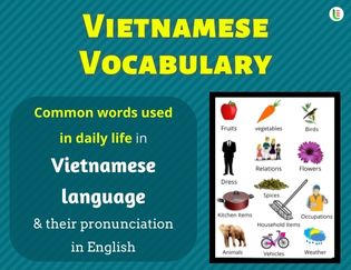 Vietnamese Vocabulary