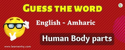 Guess the Human Body parts in Amharic