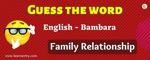 Guess the Family Relationship in Bambara