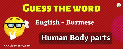 Guess the Human Body parts in Burmese