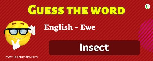 Guess the Insect in Ewe