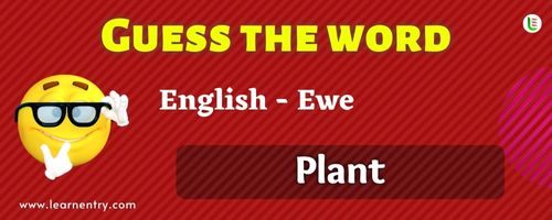 Guess the Plant in Ewe