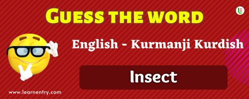 Guess the Insect in Kurmanji kurdish
