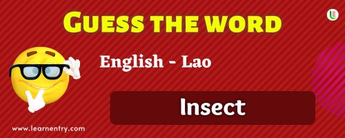 Guess the Insect in Lao