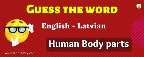 Guess the Human Body parts in Latvian
