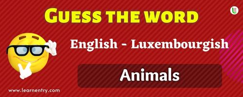 Guess the Animals in Luxembourgish
