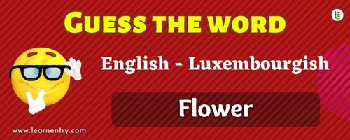 Guess the Flower in Luxembourgish