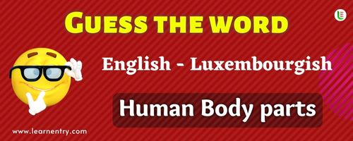 Guess the Human Body parts in Luxembourgish