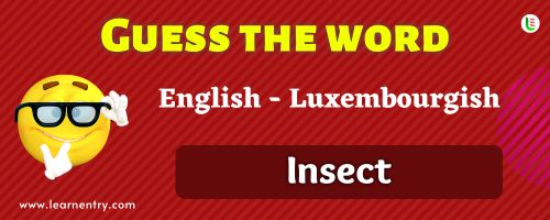 Guess the Insect in Luxembourgish
